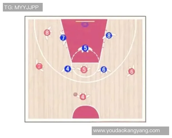 NBA球队防守策略及赛季表现分析